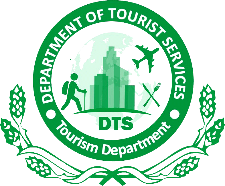 DTS logo