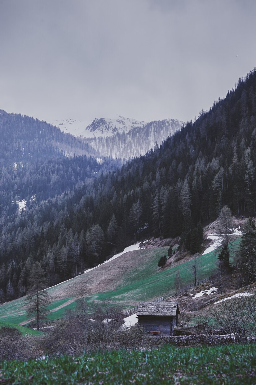 Kashmir