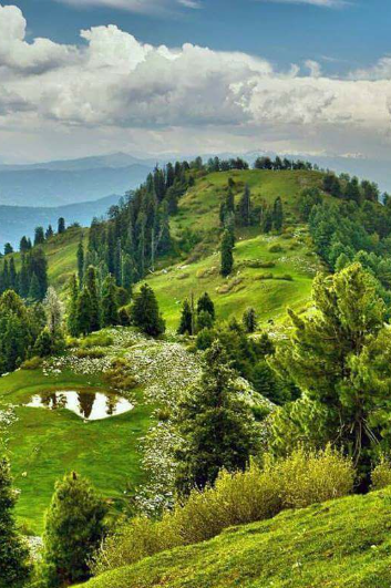 mushkpuri